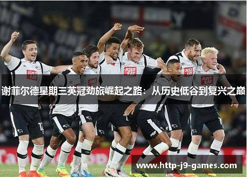 谢菲尔德星期三英冠劲旅崛起之路:从历史低谷到复兴之巅 谢菲尔德星期三英冠劲旅崛起之路:从历史低谷到复兴之巅