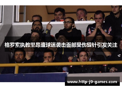 格罗索执教里昂遭球迷袭击面部受伤缝针引发关注